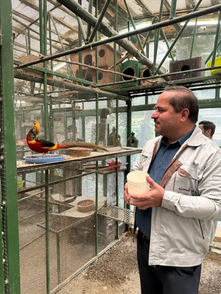 کارشناس پادآفت در حال بررسی محیط نگهداری پرندگان
